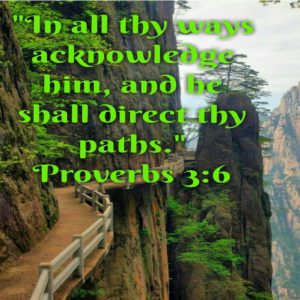 Read more about the article 1.214 He Shall Direct Thy Paths