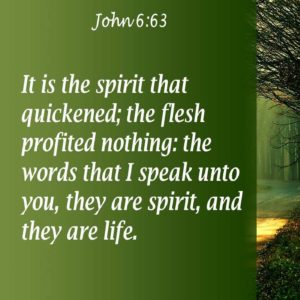 Read more about the article 1.219 The Word is Made Alive By His Spirit