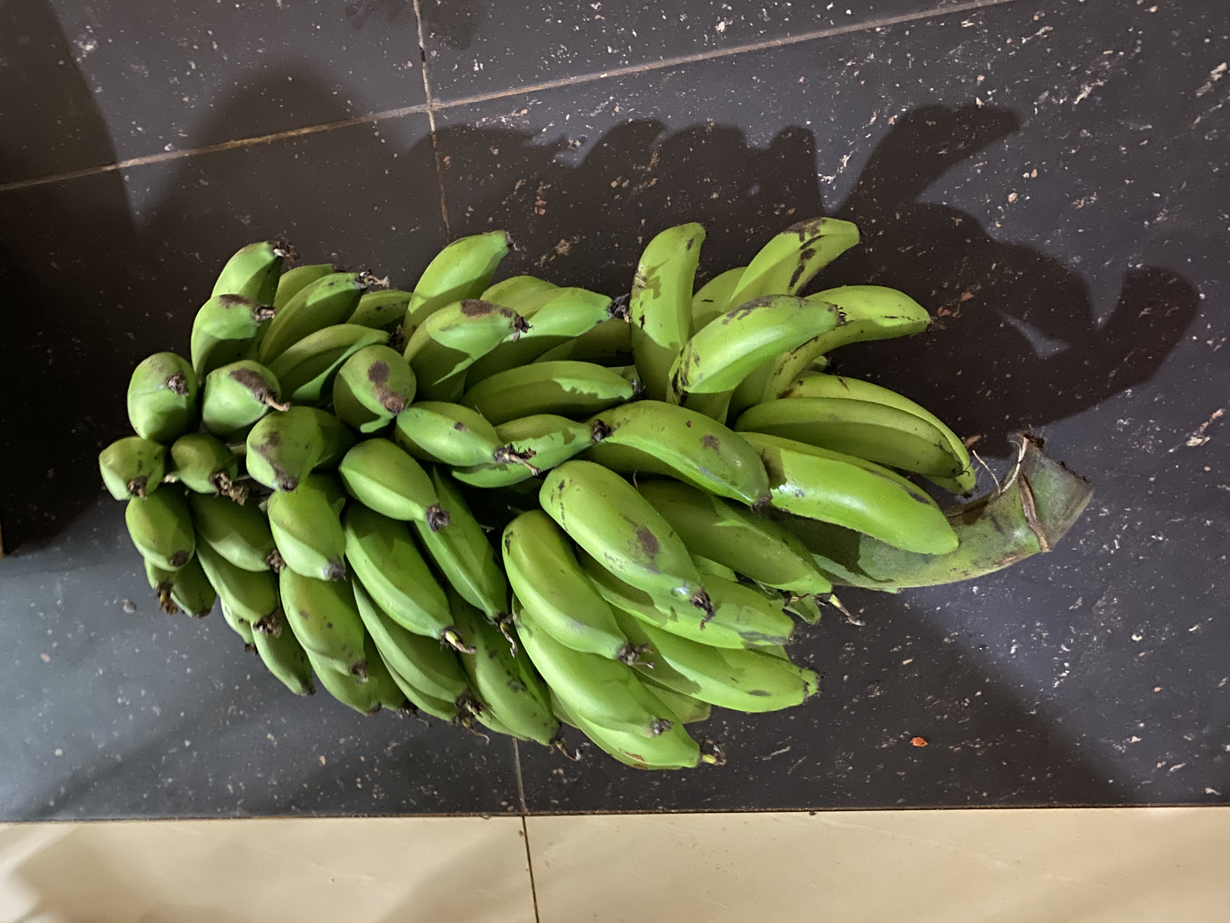 They gave us a lovely bunch of bananas!