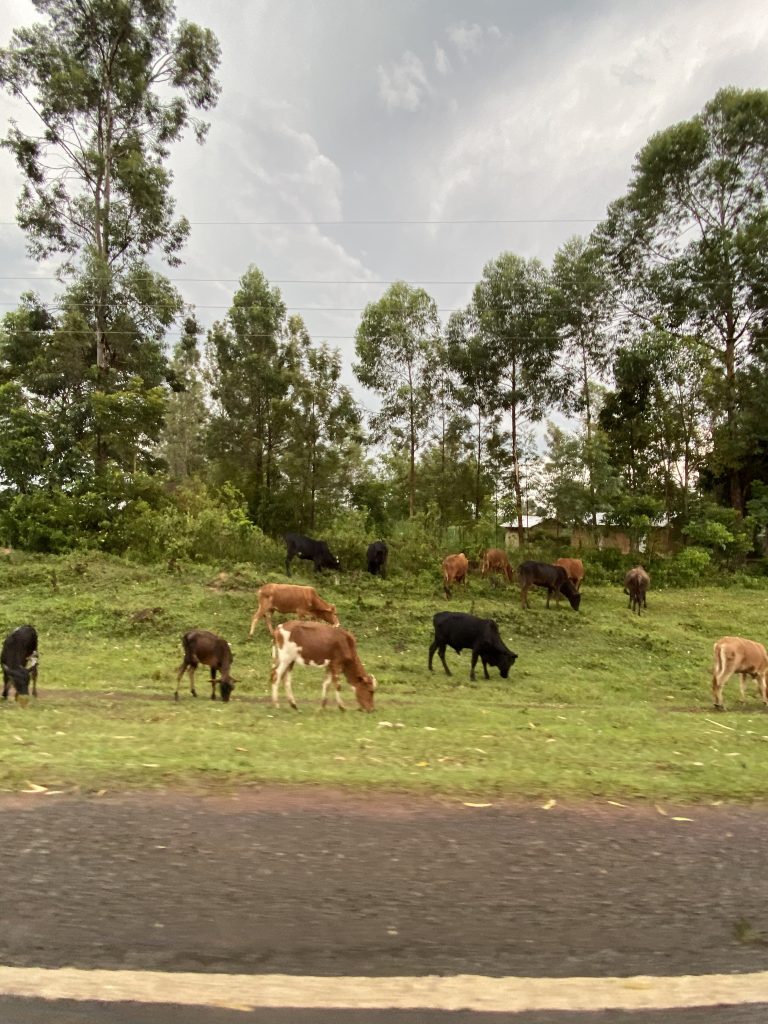 Mumias scenery