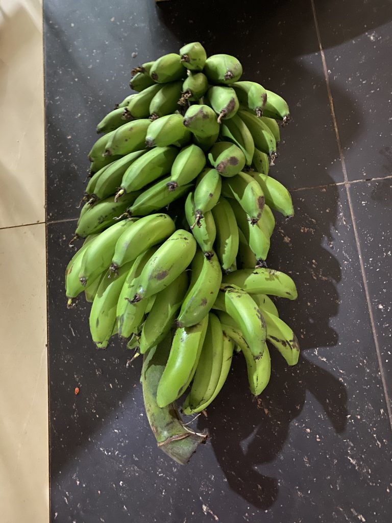 They gave us a lovely bunch of bananas!