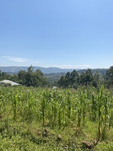 What spectacular views along this path